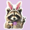 easterraccoon-Photoroom